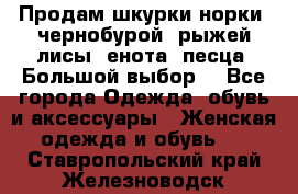 Продам шкурки норки, чернобурой, рыжей лисы, енота, песца. Большой выбор. - Все города Одежда, обувь и аксессуары » Женская одежда и обувь   . Ставропольский край,Железноводск г.